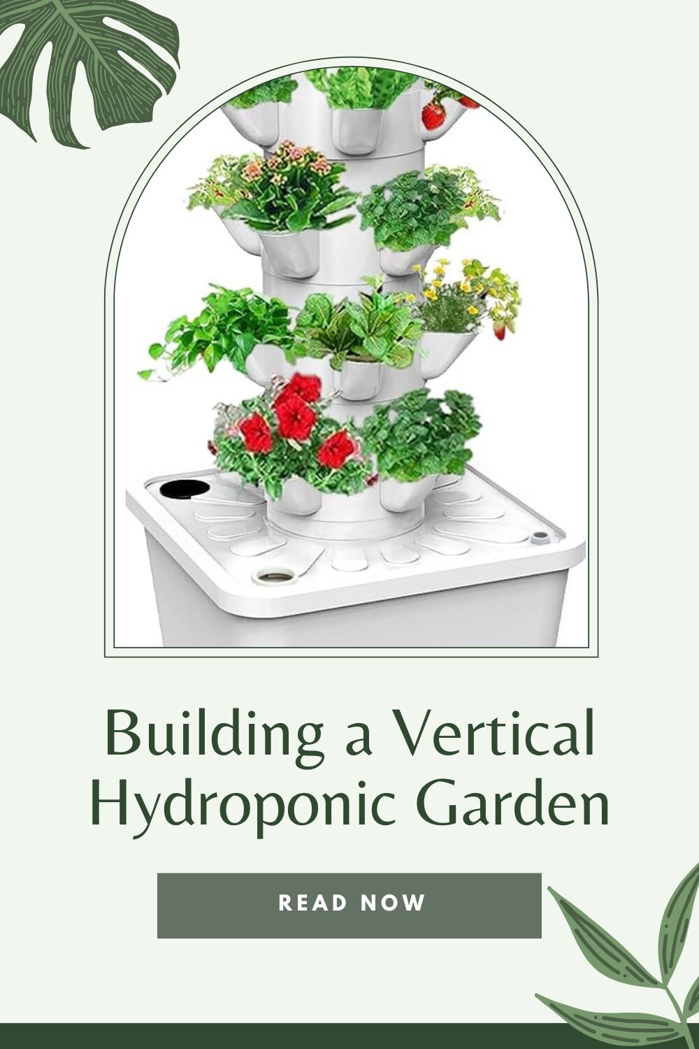 Photo of a hydroponic garden