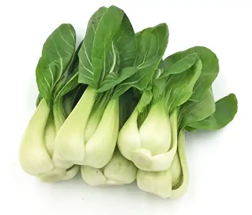 Sow in Fall! HipGirl 700 Baby Bok Choy Seeds