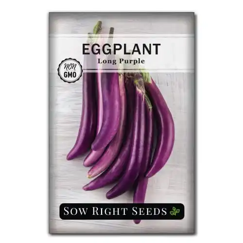 Sow Right Seeds - Long Purple Eggplant Seeds for Planting - Non-GMO Heirloom Packet with Instructions to Plant an Outdoor Home Vegetable Garden - Grow This Chinese Variety Indoors or Outdoors