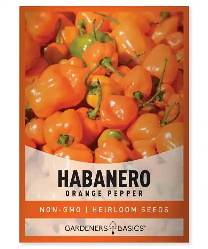 Gardeners Basics, Orange Habanero Pepper Seeds for Planting Heirloom Non-GMO