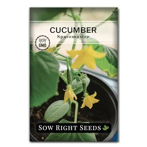 Sow Right Seeds - Spacemaster Cucumber Seeds for Planting - Non-GMO Heirloom Packet with Instructions to Grow an Outdoor Home Vegetable Garden - Compact Bush Cucumbers - Great for Containers (1)