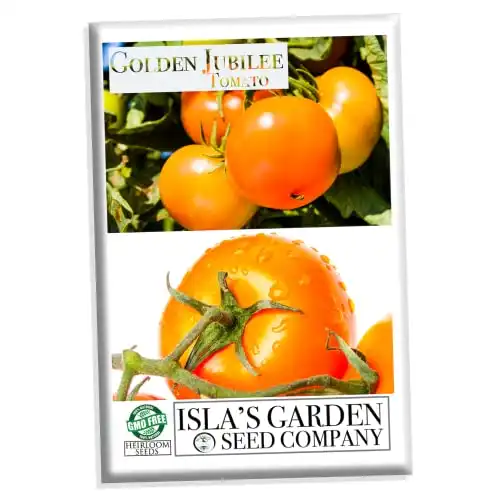 Golden Jubilee Tomato Seeds, 200+ Heirloom Seeds Per Packet, (Isla's Garden Seeds), Non GMO Seeds, Botanical Name: Solanum lycopersicum 'Jubilee'