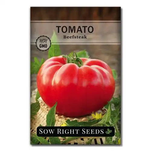 Sow Right Seeds Beefsteak Tomato Non-GMO Heirloom - Indeterminate