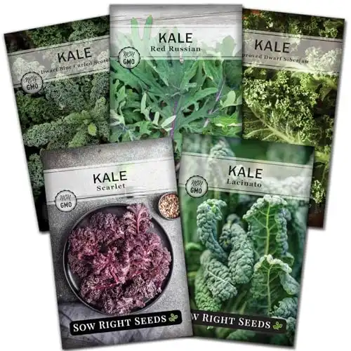 Sow Right Seeds - Kale Seed Collection for Planting - Non-GMO Heirloom