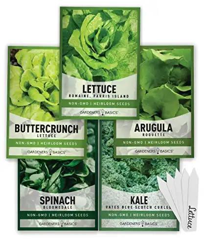 Lettuce and Greens Heirloom Vegetable Seed Non-GMO Seeds for Planting Indoors and Outdoor 5 Packs - Lettuce Buttercrunch, Romaine, Arugula, Kale and Spinach By Gardeners Basics