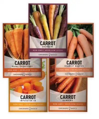 Gardeners Basics, Carrot Seeds for Planting Home Garden - 5 Variety Pack Rainbow, Imperator 58, Scarlet Nantes, Bambino and Royal Chantenay