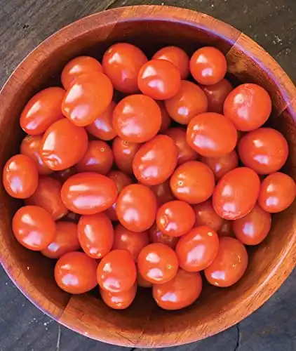 Burpee 'Napa Grape', Tomato Seeds, 30 Non-GMO Seeds