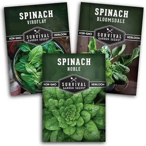 Spinach Seed Collection - 3 Packets of Seeds to Grow - Viroflay, Noble, Bloomsdale Spinach Varieties - Non-GMO Heirloom Open-Pollinated Seeds to Plant - Seed Saver Instructions - Survival Garden Seeds