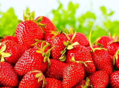 300 Pcs Strawberry Seeds