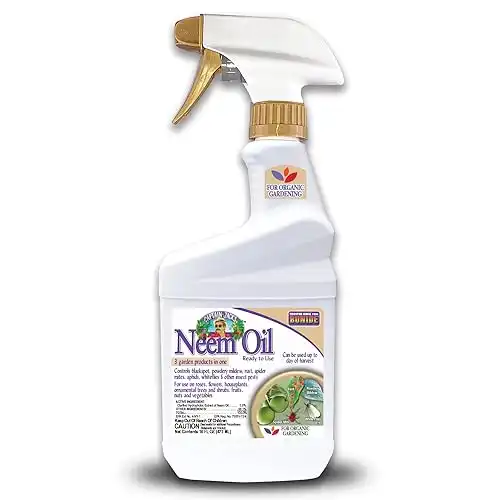 Bonide Captain Jack's Neem Oil, 16 oz Ready-to-Use Spray, Multi-Purpose Fungicide, Insecticide and Miticide for Organic Gardening