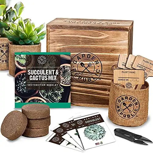 Cactus Succulent Seed Starter Kit - Indoor Garden Grow Kits, Seeds for Planting Mini Cactus Succulent Plants