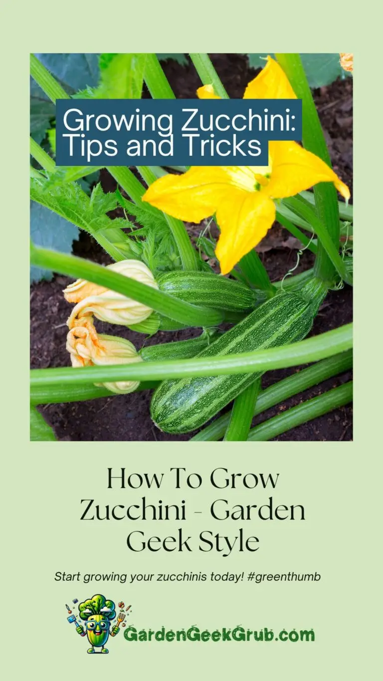 Growing zucchini tips and tricks with a close-up image of zucchini plant with flowers and fruits in a garden.