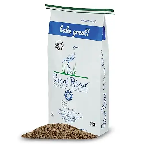 Great River Organic Milling, Whole Grain, Rye Grain, Organic, 25-Pounds (Pack of 1)